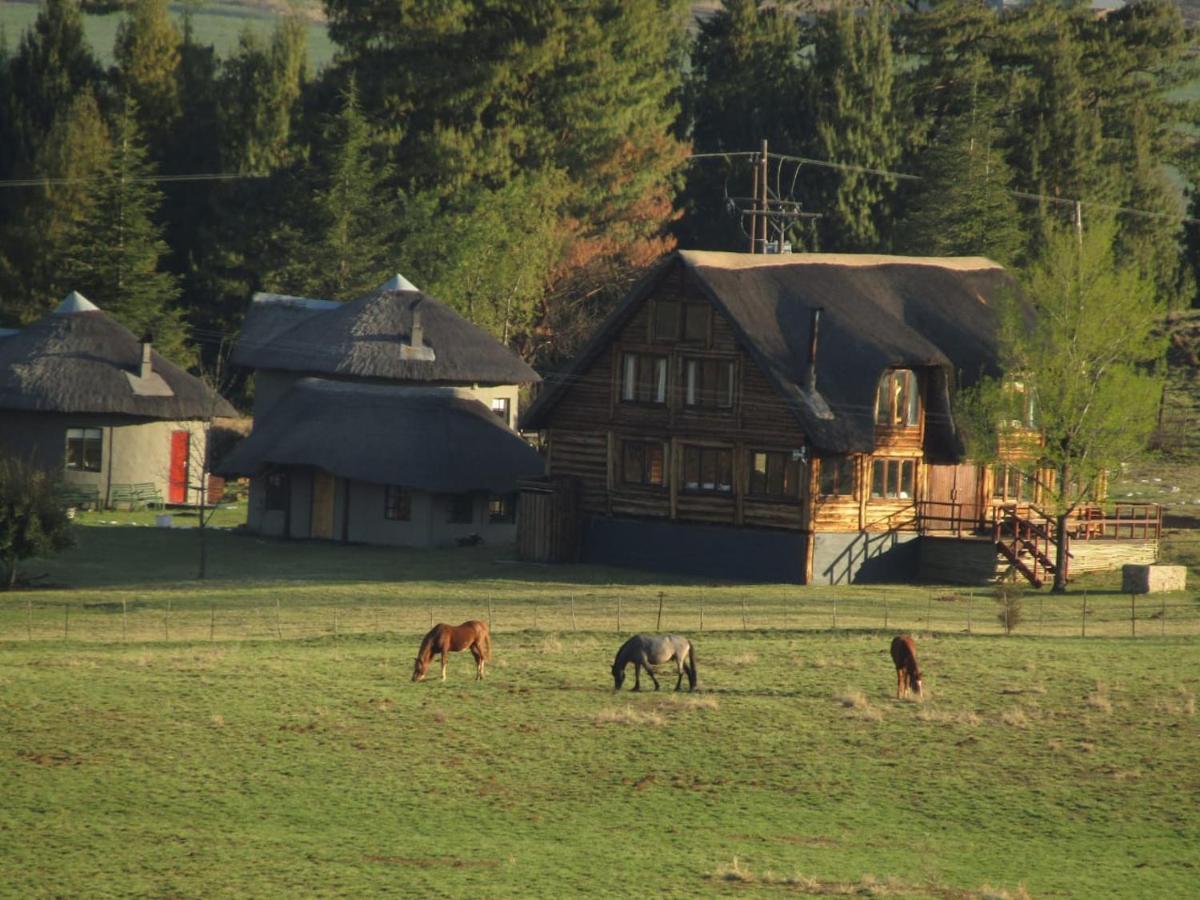 Khotso Lodge & Horse Trails Underberg Kültér fotó