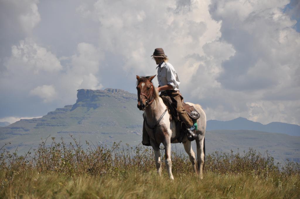 Khotso Lodge & Horse Trails Underberg Kültér fotó