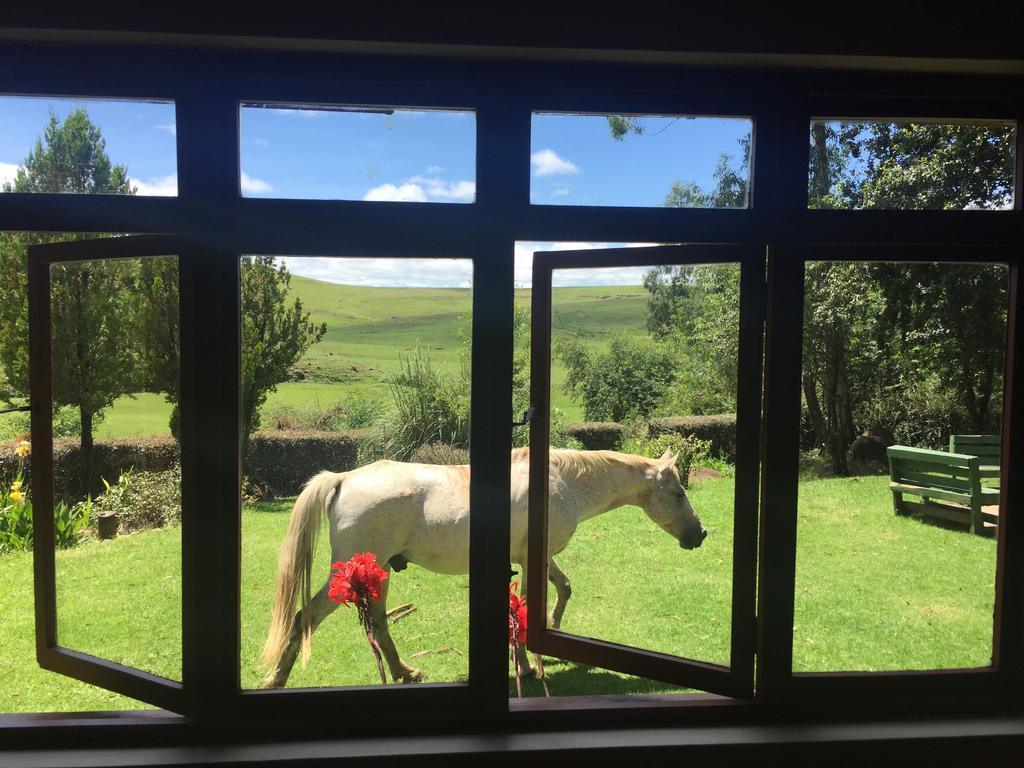 Khotso Lodge & Horse Trails Underberg Kültér fotó