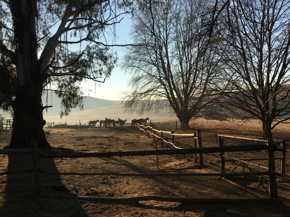 Khotso Lodge & Horse Trails Underberg Kültér fotó