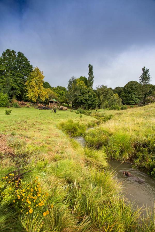 Khotso Lodge & Horse Trails Underberg Kültér fotó